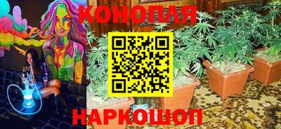гашиш Тара